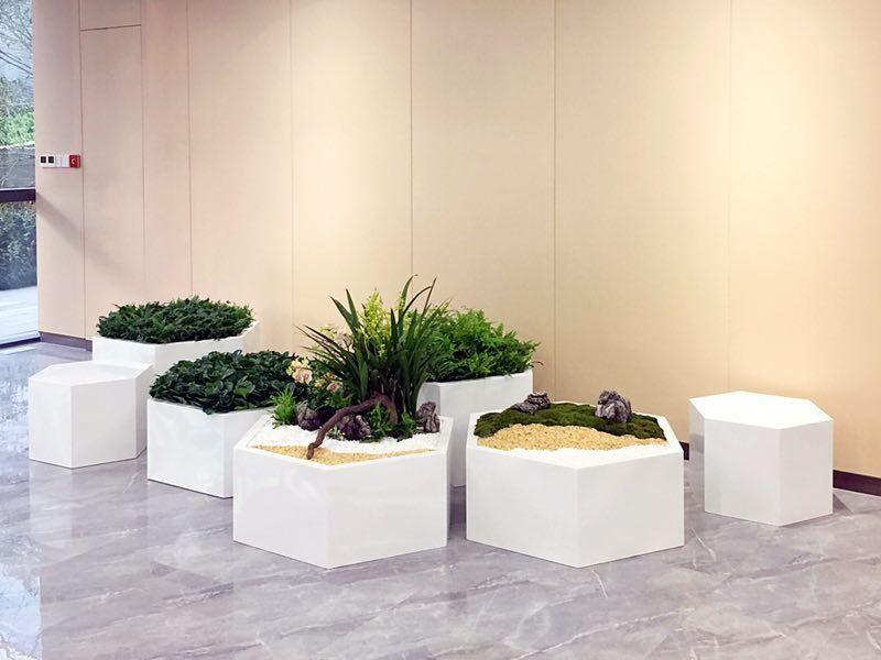 定做绿植设计服务