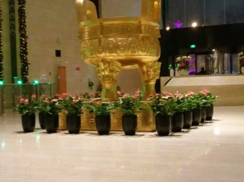 花卉摆放写字楼大堂