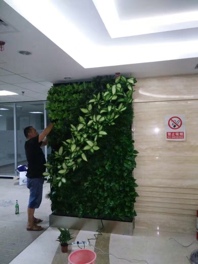 网库办公室绿植墙