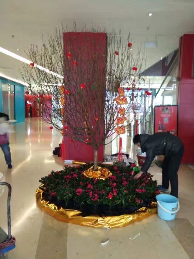 太古里春节装饰