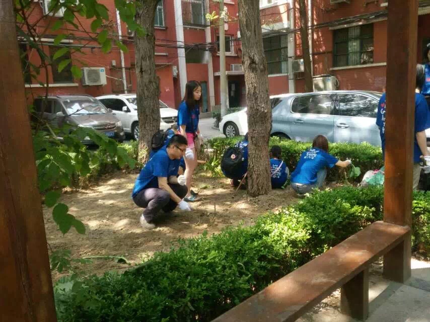 献爱心社区绿植维护活动