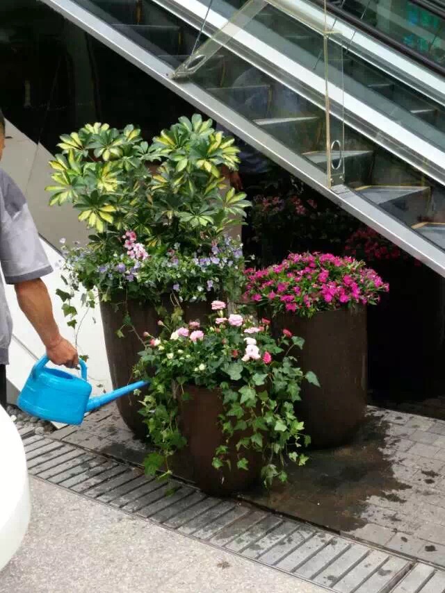 太古里春季室外摆放