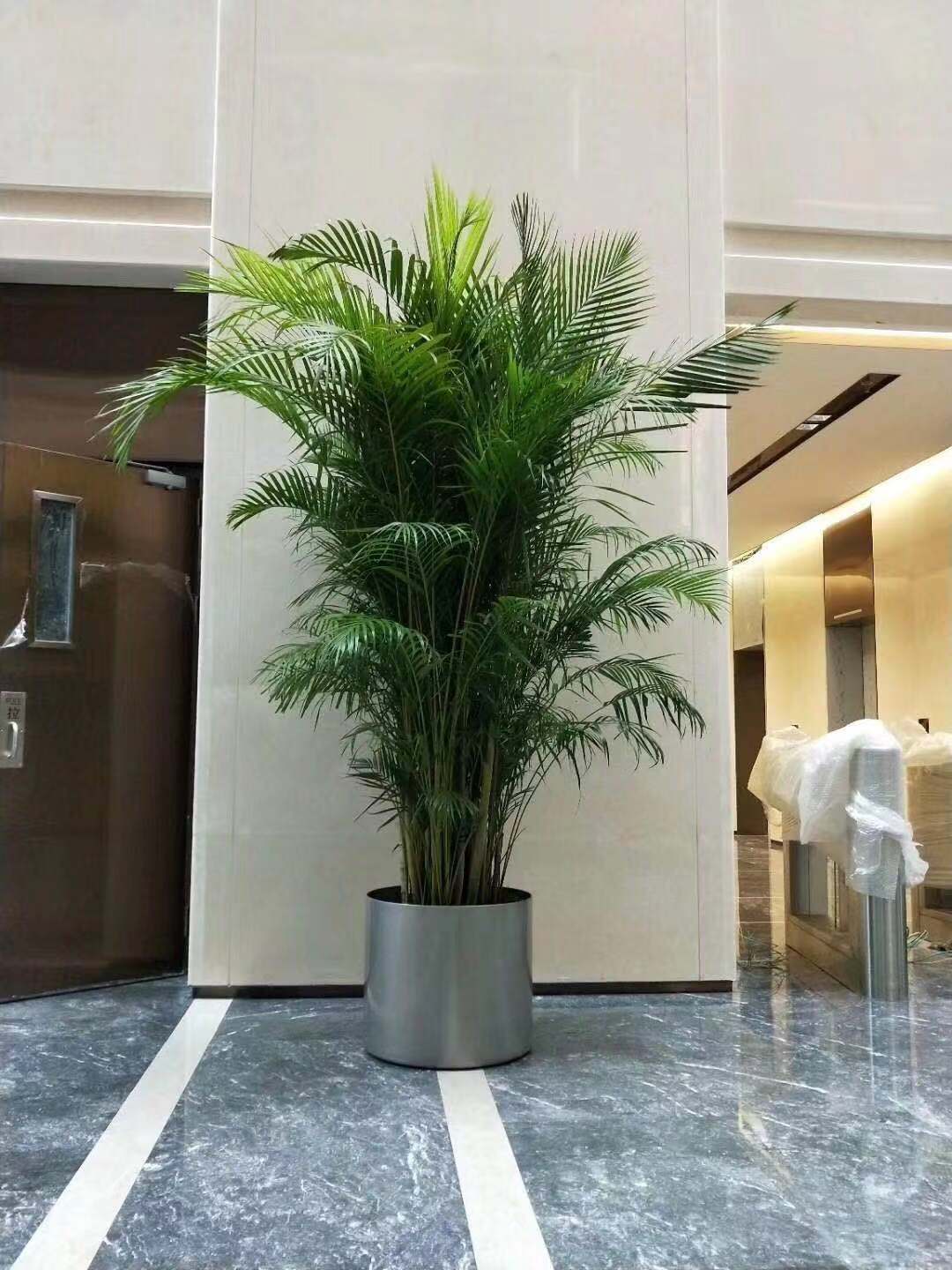 大散尾不锈钢盆